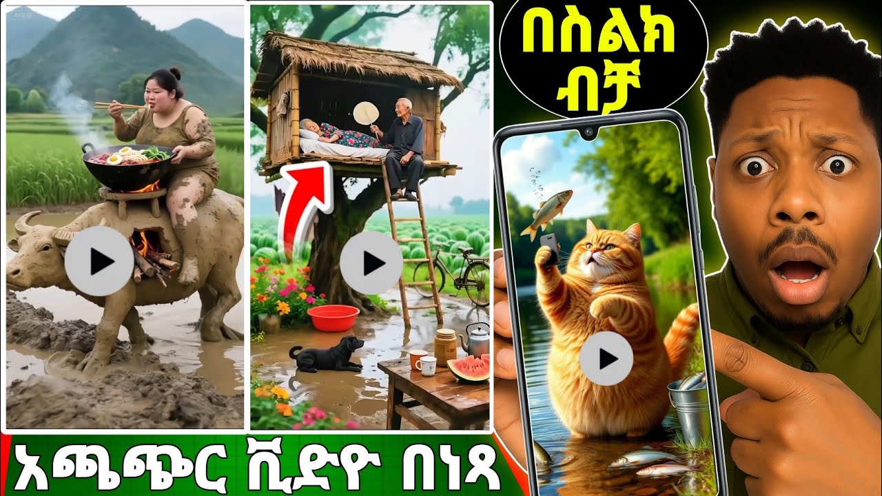 በAI ሺድየ በነፃ በስልክ ብቻ