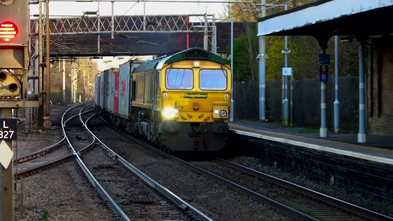 Freightliner Class 66 at Marks Tey | Freightliner 66569