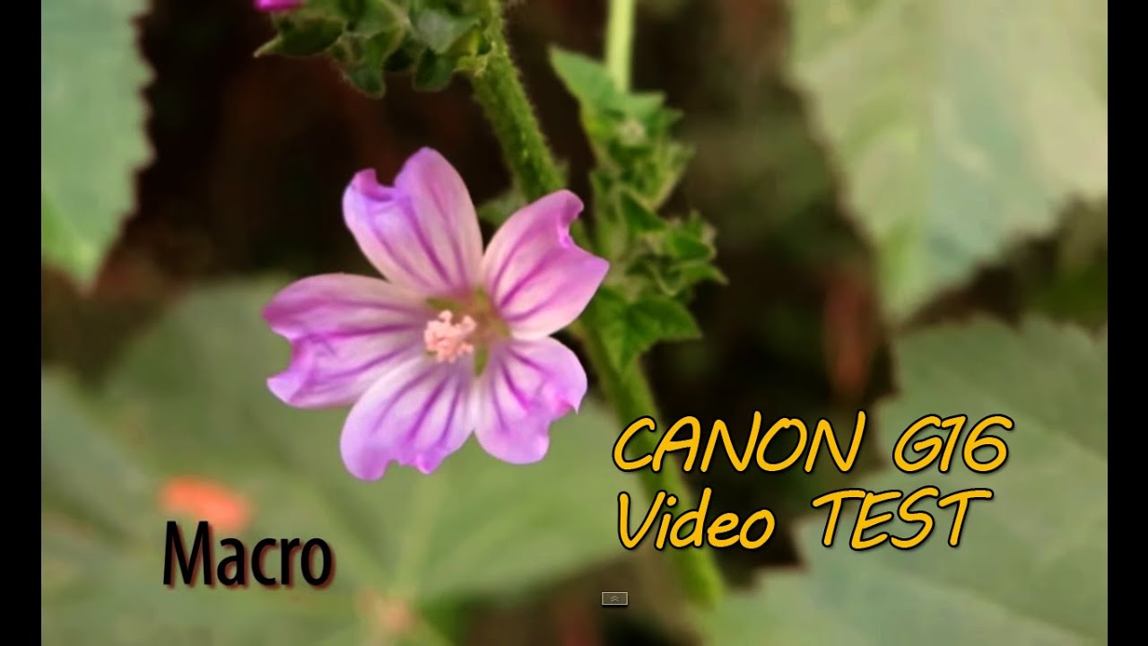 Canon powershot g16 video test.