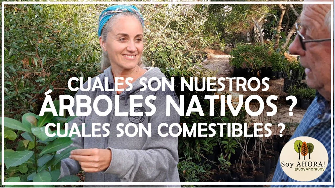CUALES son Nuestros ÁRBOLES NATIVOS?? Y Porque es URGENTE PLANTARLOS?
