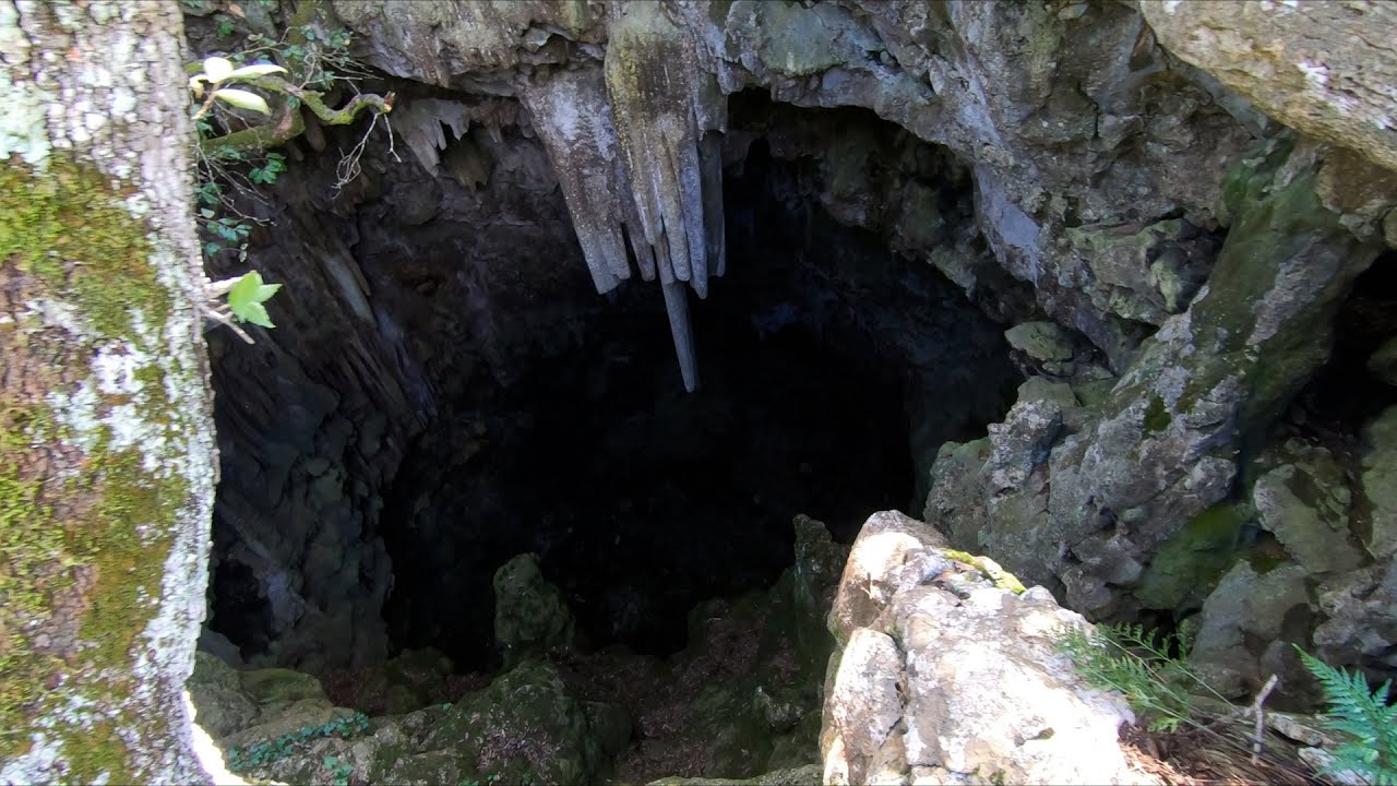 Bosco delle pianelle pt 1 la 