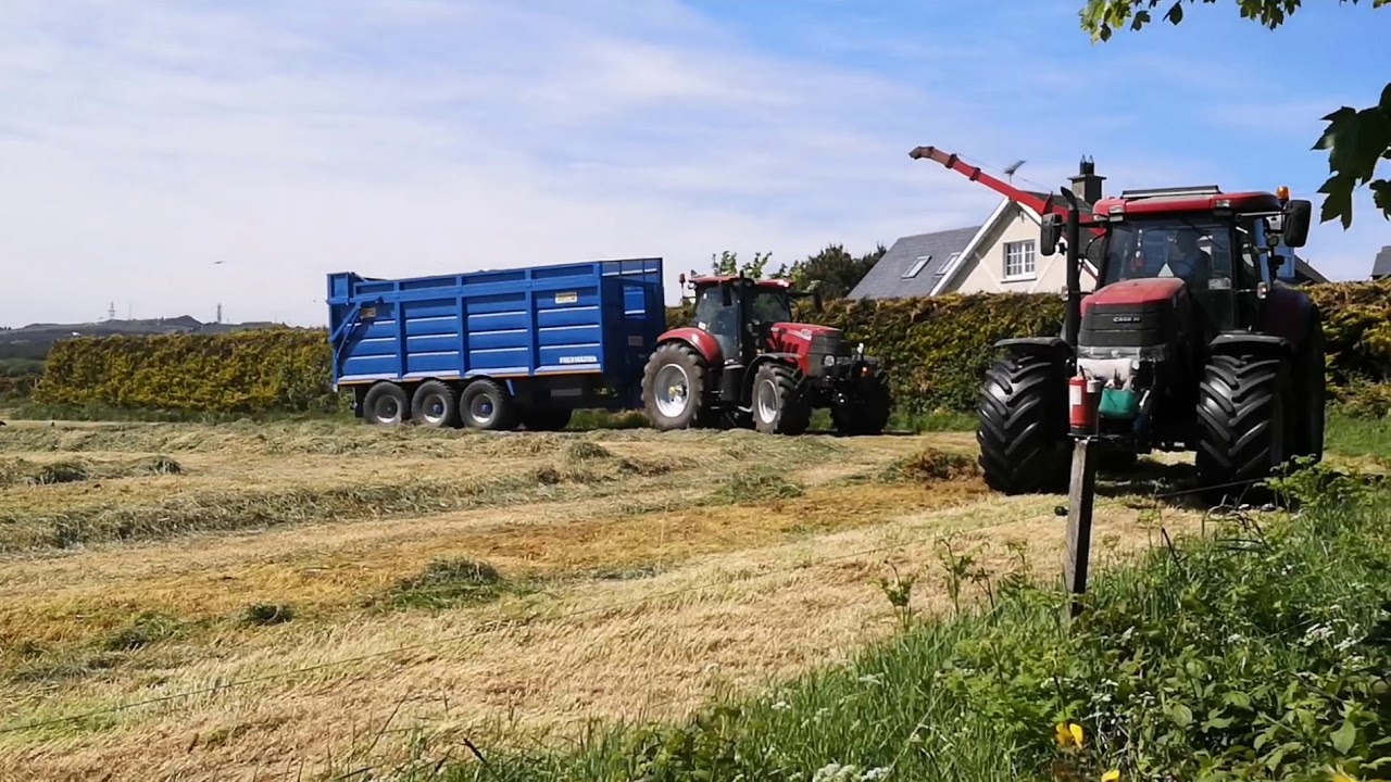 Case & Taarup Forager ~ Silage 2020