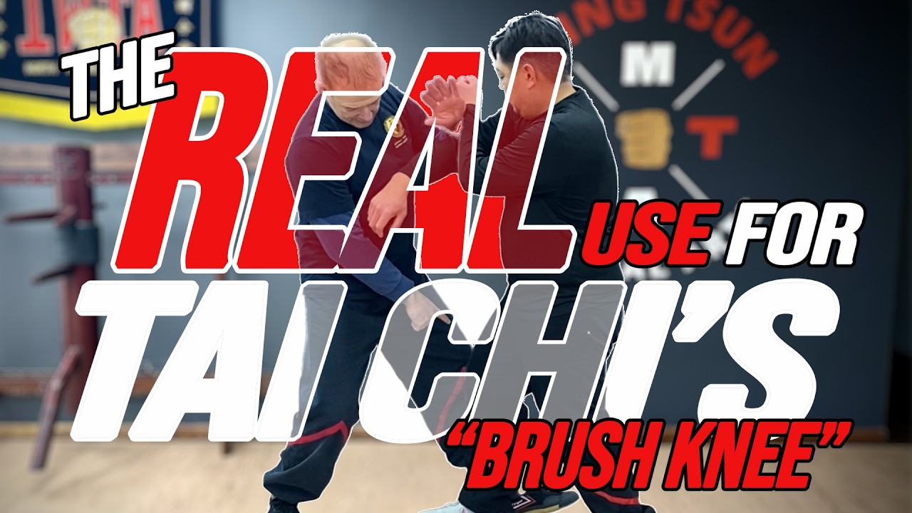TAI CHI for FIGHTING: Brush Knee & Push Hands Combat Applications