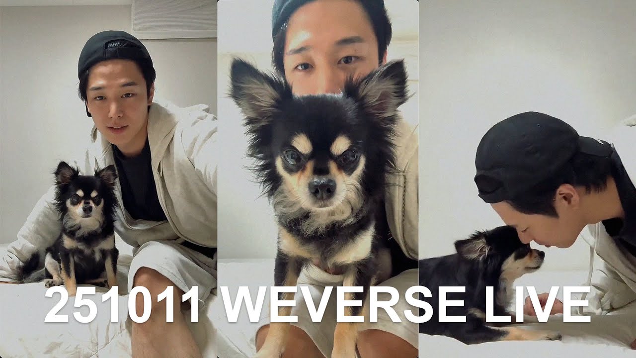 251011 THE BOYZ Juyeon '집에서' Weverse Live (1/2)