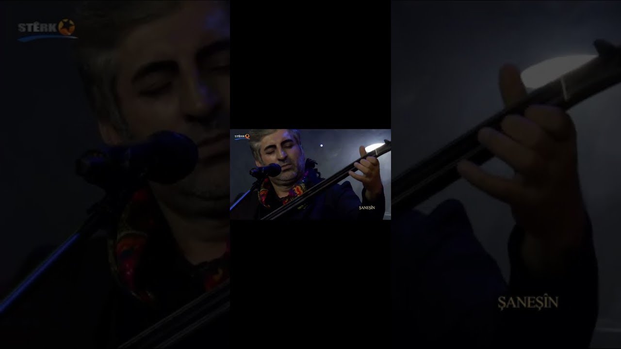Sipan Xelat Sarya