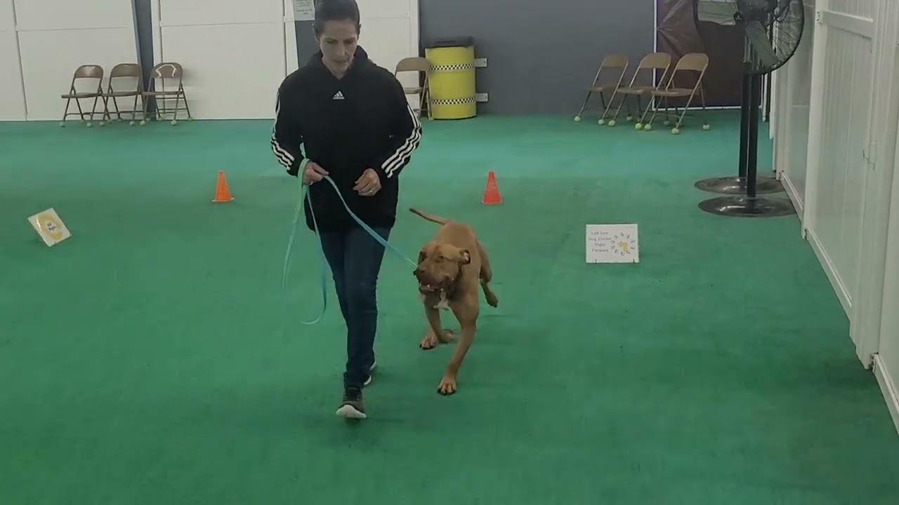 Dio Intermediate #3