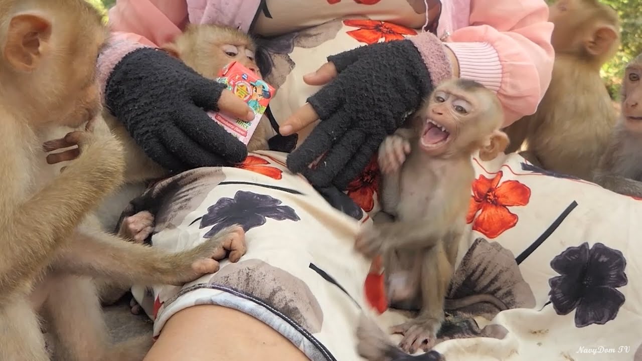 Just Feeding milk to Jordan First Why Baby Royston C,-.;r,.-;y Like this !
