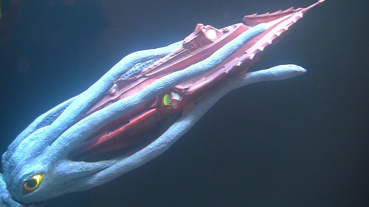 20000 Leagues Under The Sea Tank, Episode 169, LA Fishguys
