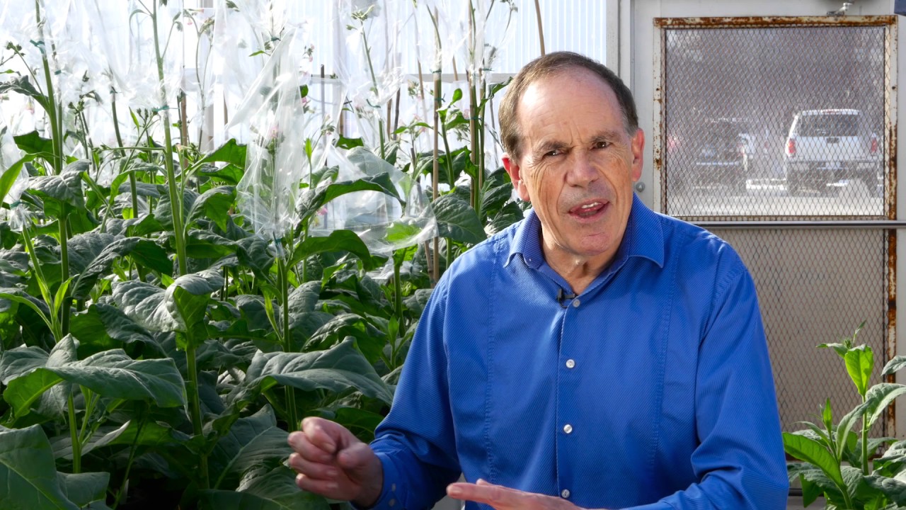 Crop Phenotyping Robot