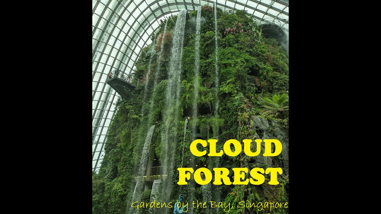 CLOUD FOREST in Gardens by the Bay, Singapore (Walking Tour) #cloudforest #gardensbythebay