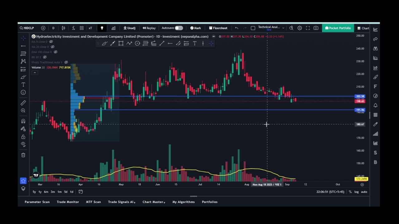 Hydroelectricity Investment and Development Company Limited PromoterHIDCLP#nepse #nepseanalysis