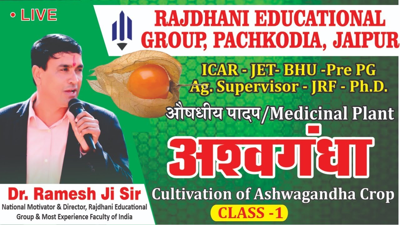 [2] अश्वगंधा की खेती | Cultivation of Ashwagandha | Withania Crop | Ag Supervisor