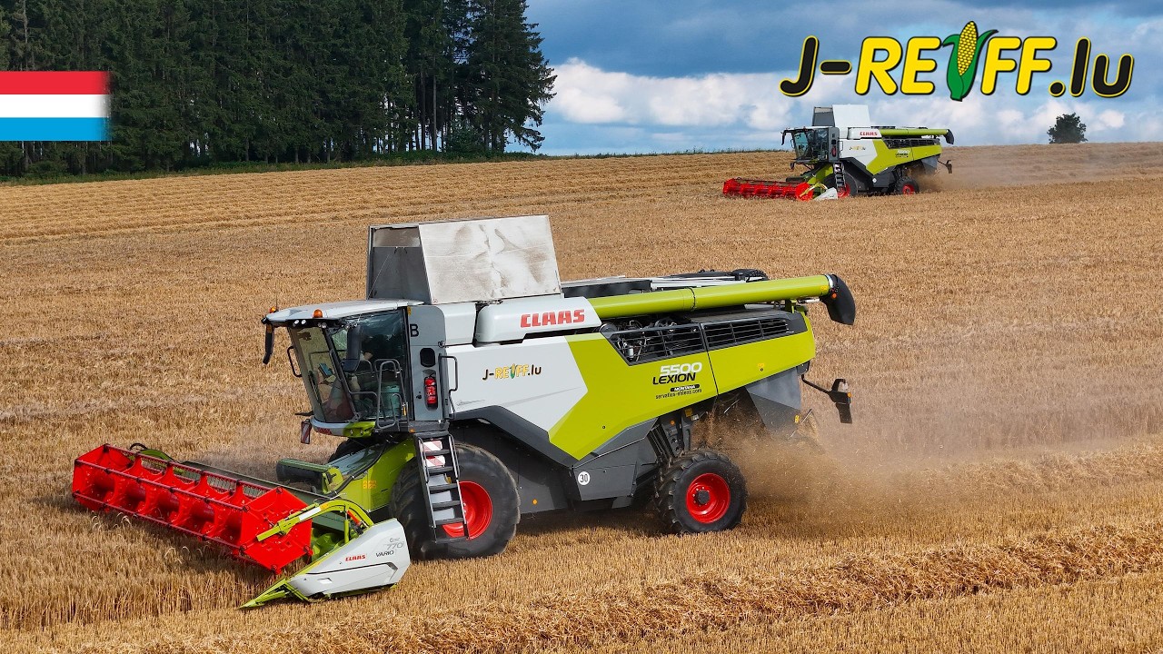Gerste dreschen mit J-Reiff | 2x Claas Lexion 5500 // 3x Fendt | Luxemburg 2025