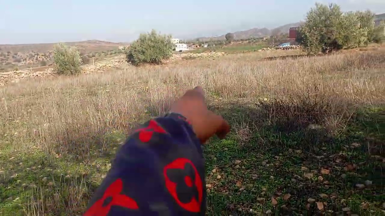 03/12/2024 قطعه ارضيه تتر محافظه مساحتها 3 هكتار فيها 122 الزيتون ثمنها 23 هكتار 0666467992