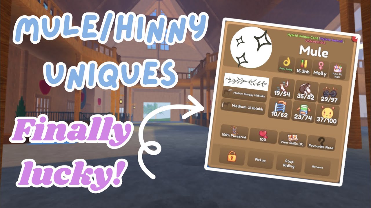 I Finally Got LUCKY Breeding Mule/Hinny Unique Coats! | Wild Horse Islands