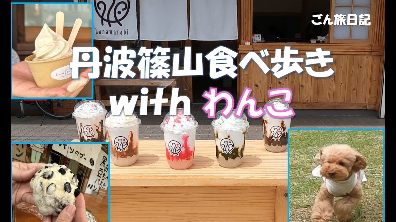 愛犬と一緒におでかけ　～ 丹波篠山「篠山城下町さんぽ」～
