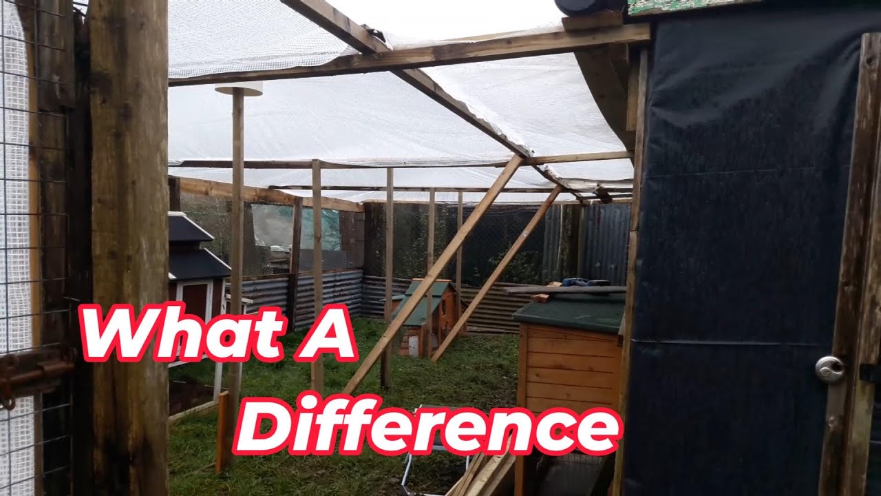 Alan's Allotment #71 hard work but worth it... what a difference