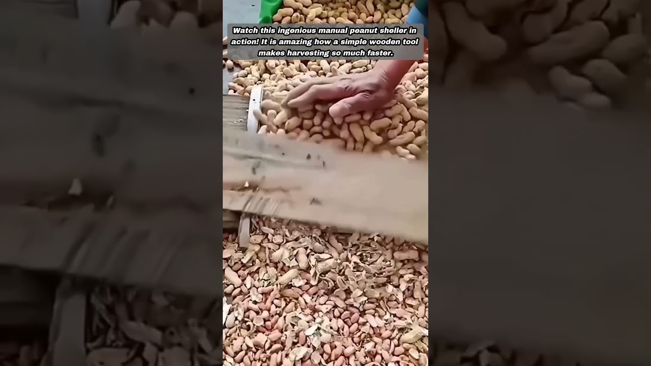 Amazing Homemade Wooden Device Simplifies Peanuts Shelling Process Easily