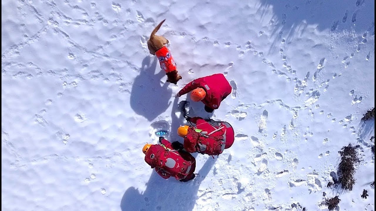 Resilience - The Avalanche