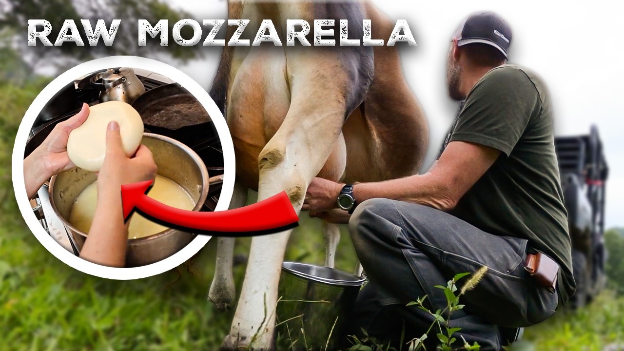 Raw Milk to Mozzarella: 1st Attempt pizza night