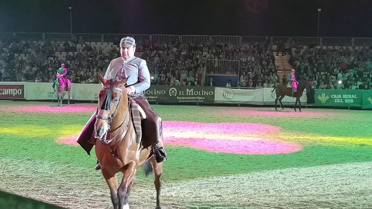 Doma vaquera sicab 2018 (espectaculo)