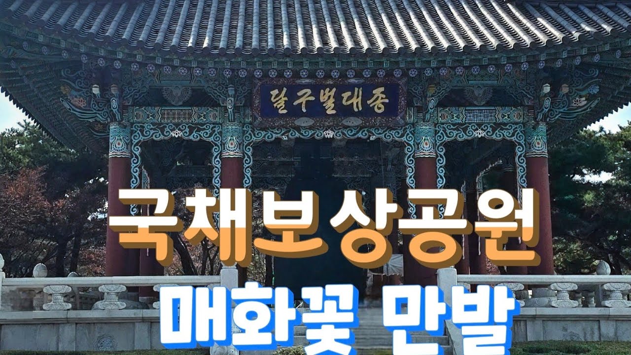 국채보상공원 매화꽃 만발