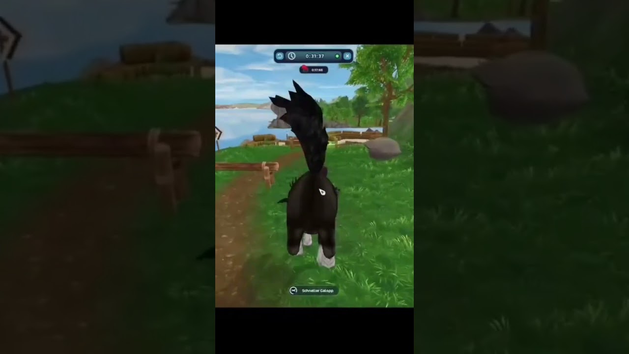 Sso ein wilder ritt #vtuber #funnymemes #starstable #sso #fyp