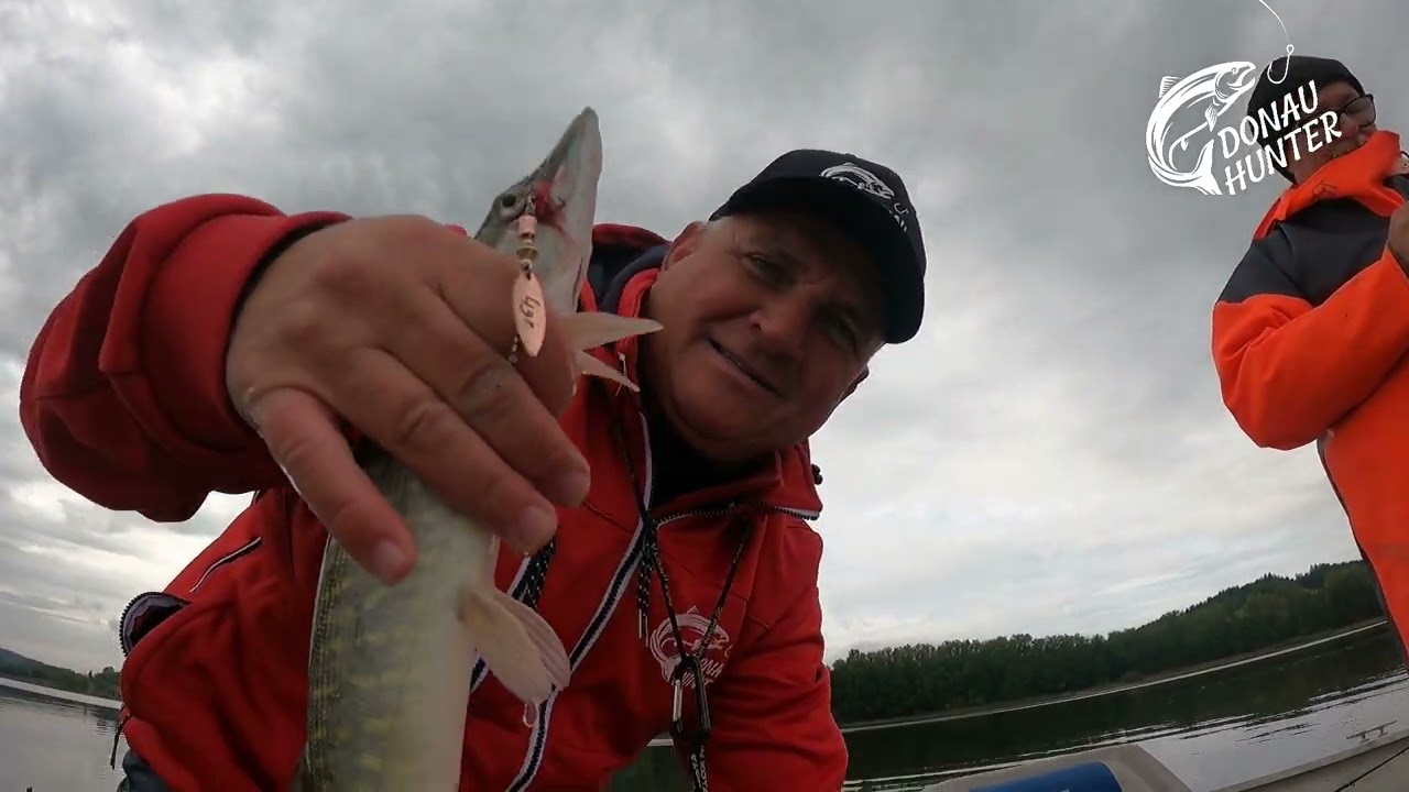 DONAU - HUNTER Lipno Stausee  Oktober 2023