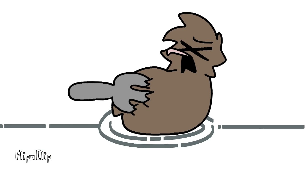 when arlo the cockatrice accidentally stab kiwi (feather family animation)
