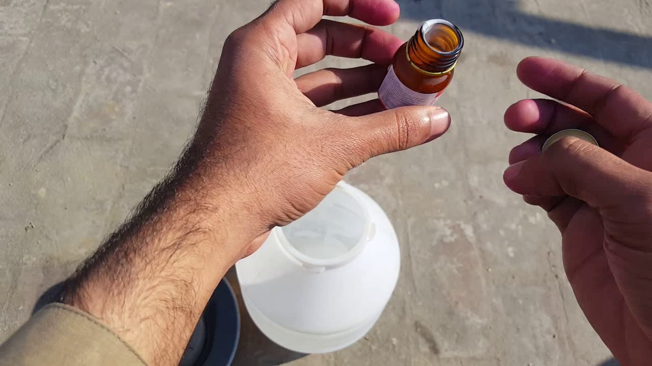Deworming Karny Ka Tarika Jora Lagany sy Phly || Hashim Mahmood Pigeons
