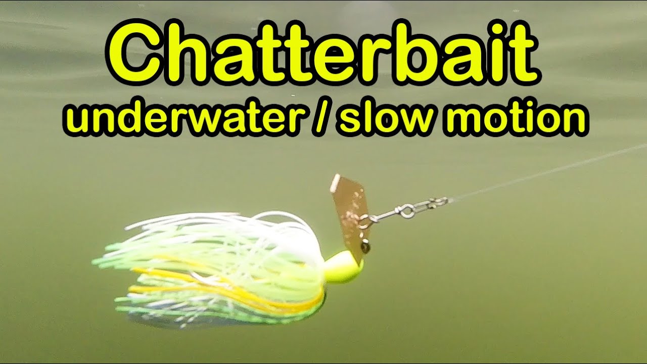 Chatterbait fishing lure underwater slow motion #SHORTS