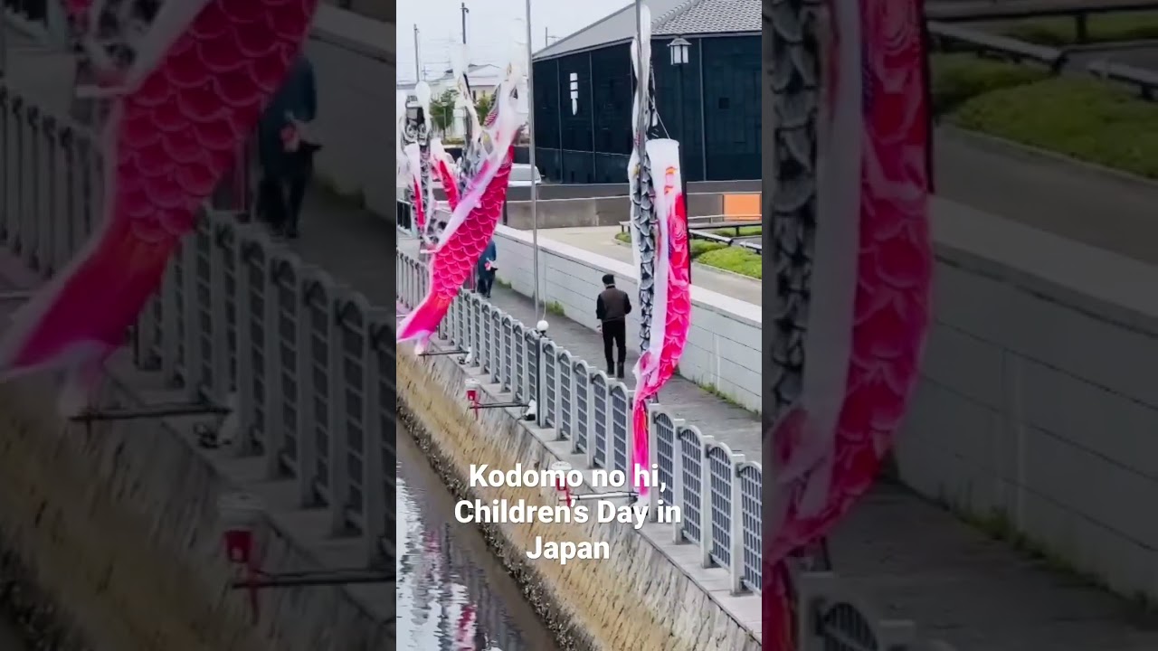 Kodomo no hi, children’s Day in Japan