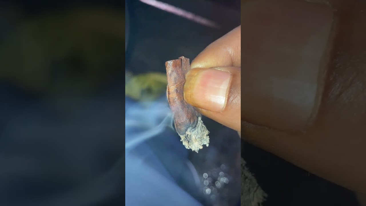 THCA FLOWER GUSH MINTZ BLUNT 2023