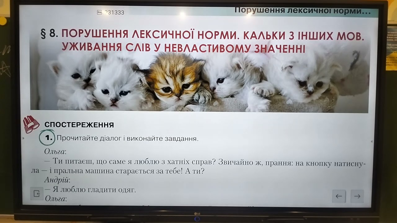 10 клас. Порушення лексичної норми. Калька з інших мов. Уживання слів у невластивому значенні