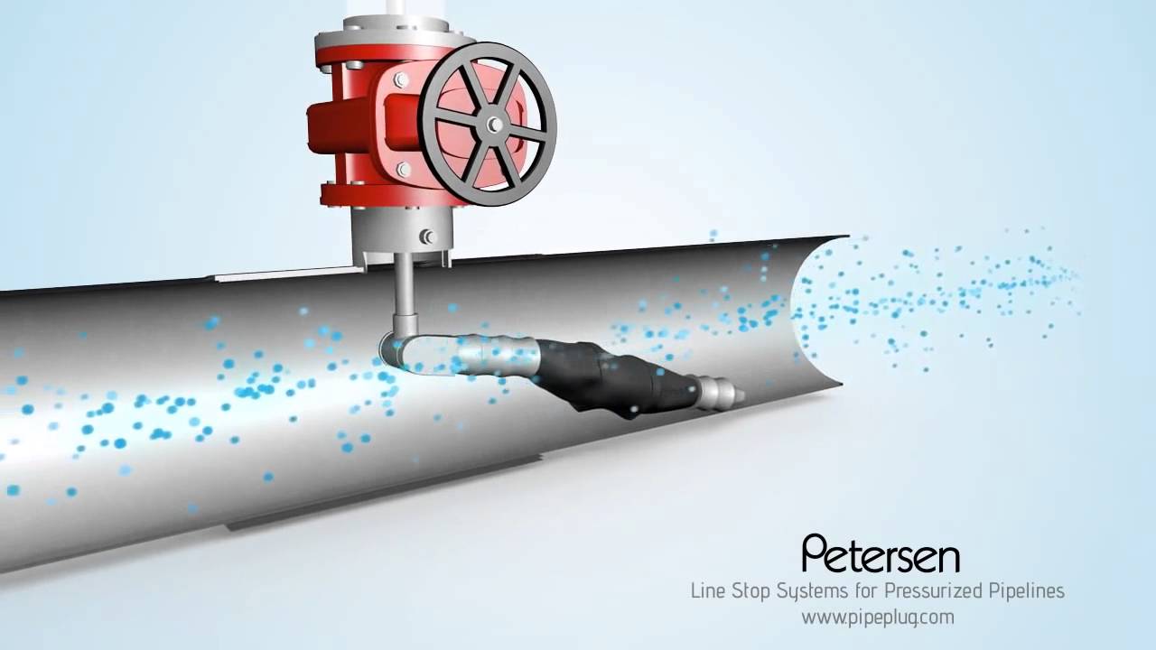 Pipe Plug System