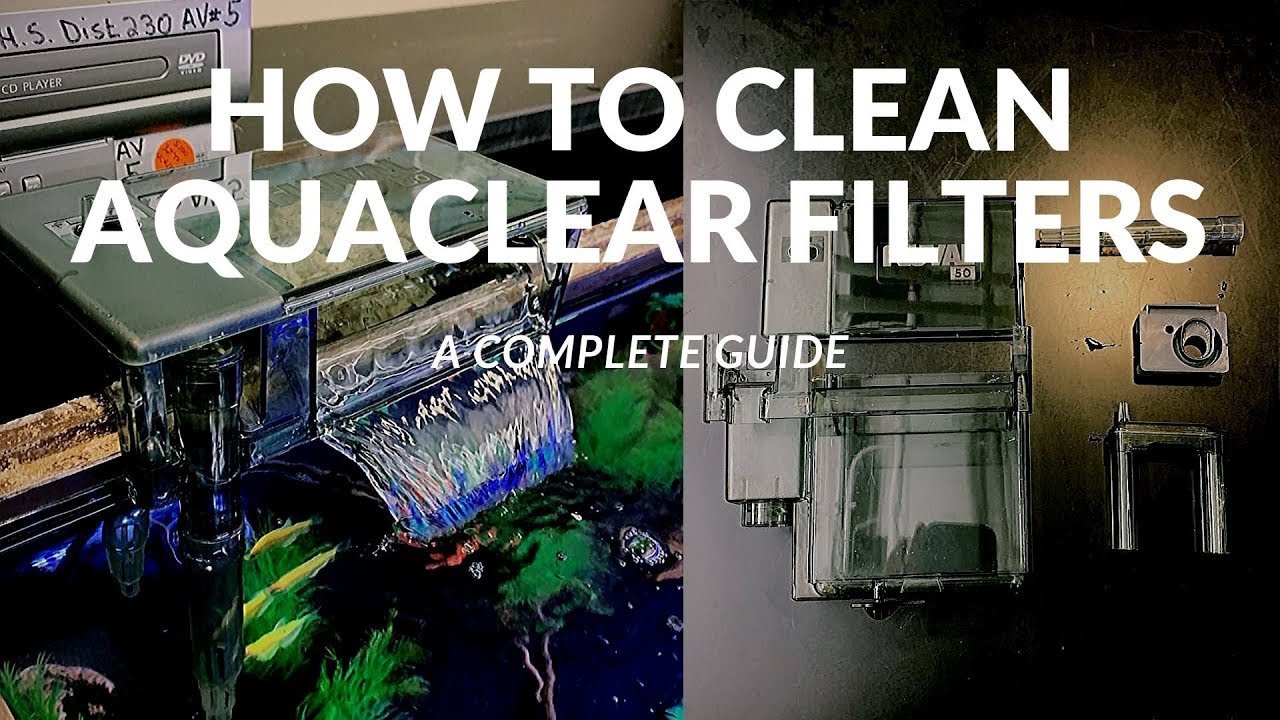 How to Clean AquaClear Filters