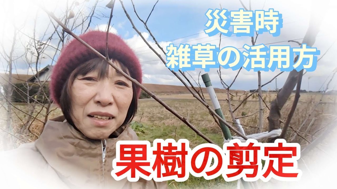 どこを切ればいいの？果樹の剪定