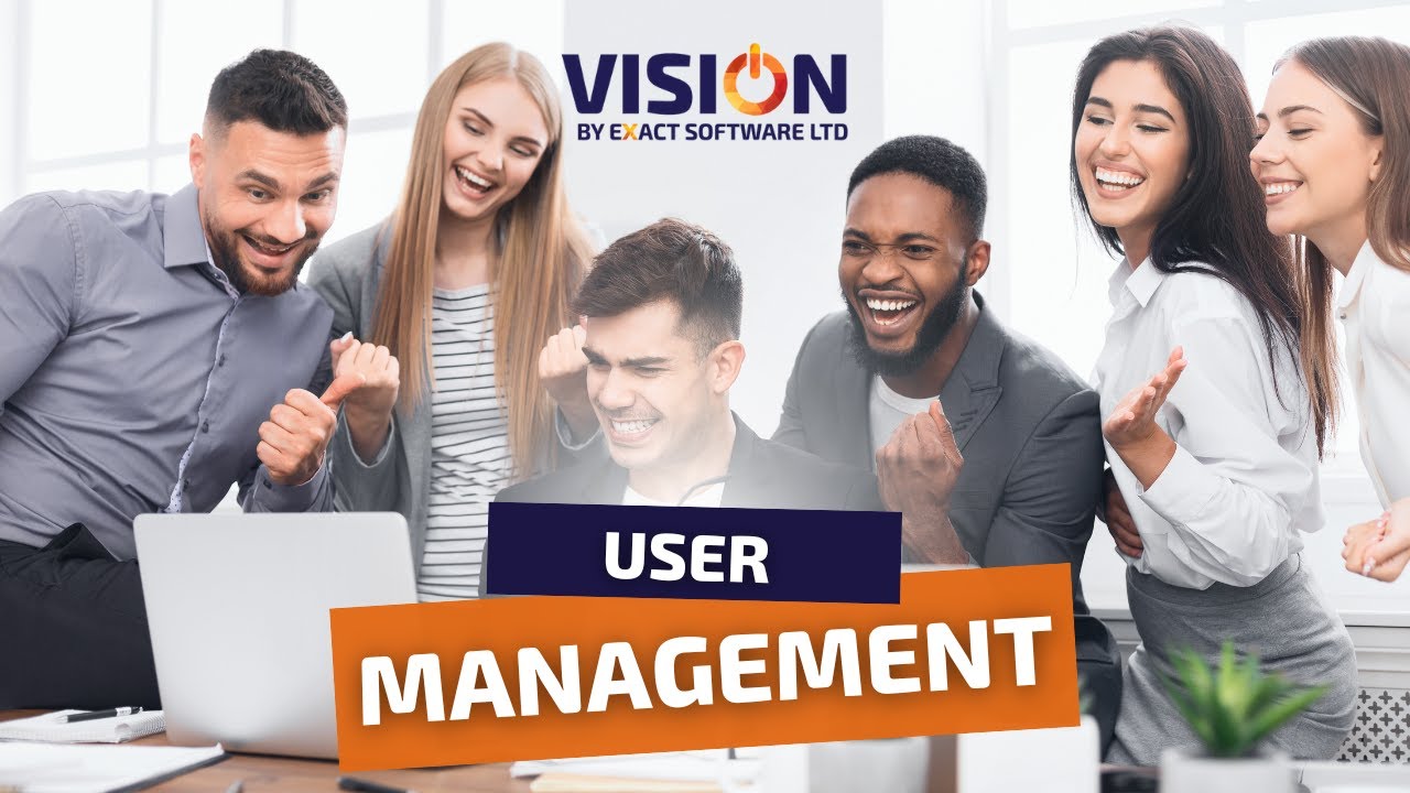 Vision Software basic User Rights Management | Control User Access in Vision Modular ERP (Tanzania)