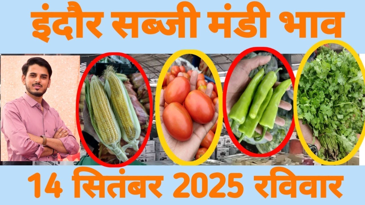 14 सितंबर 2025 सब्जी मंडी भाव इंदौर 🍅🥕🌽 #mandibhav #indoremandi #tranding #kishan #vegetablemarket 