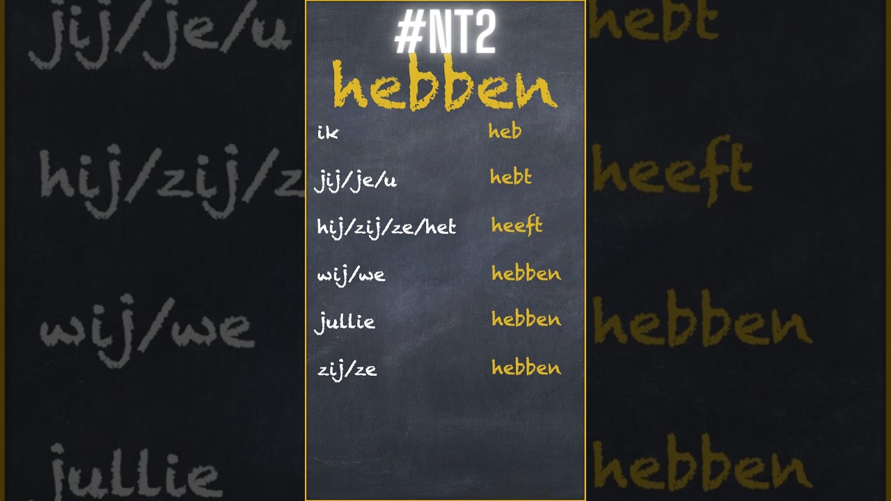 #nt2  #learndutch  Het werkwoord: hebben #nederlandsleren #grammatica #dutchgrammar