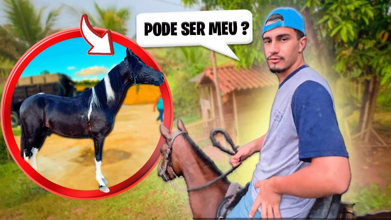 ELE FOI VER meu NOVO CAVALO e SE INTERESSOU !
