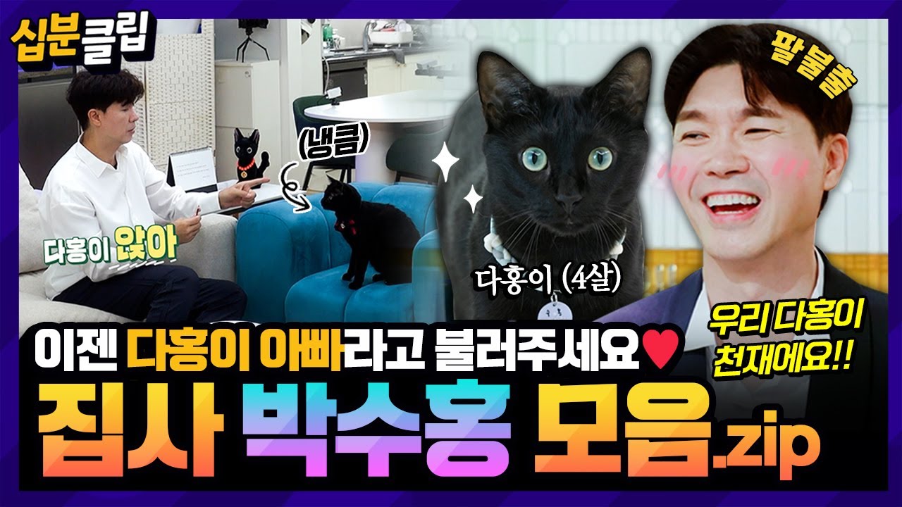 [#십분클립] 보기만해도 힐링❤️ 다홍이의 아빠가 된 박수홍 모음집🐈 힘든 시간 속에 큰 위로가 되준 반려묘와의 일상✨️ㅣ KBS방송
