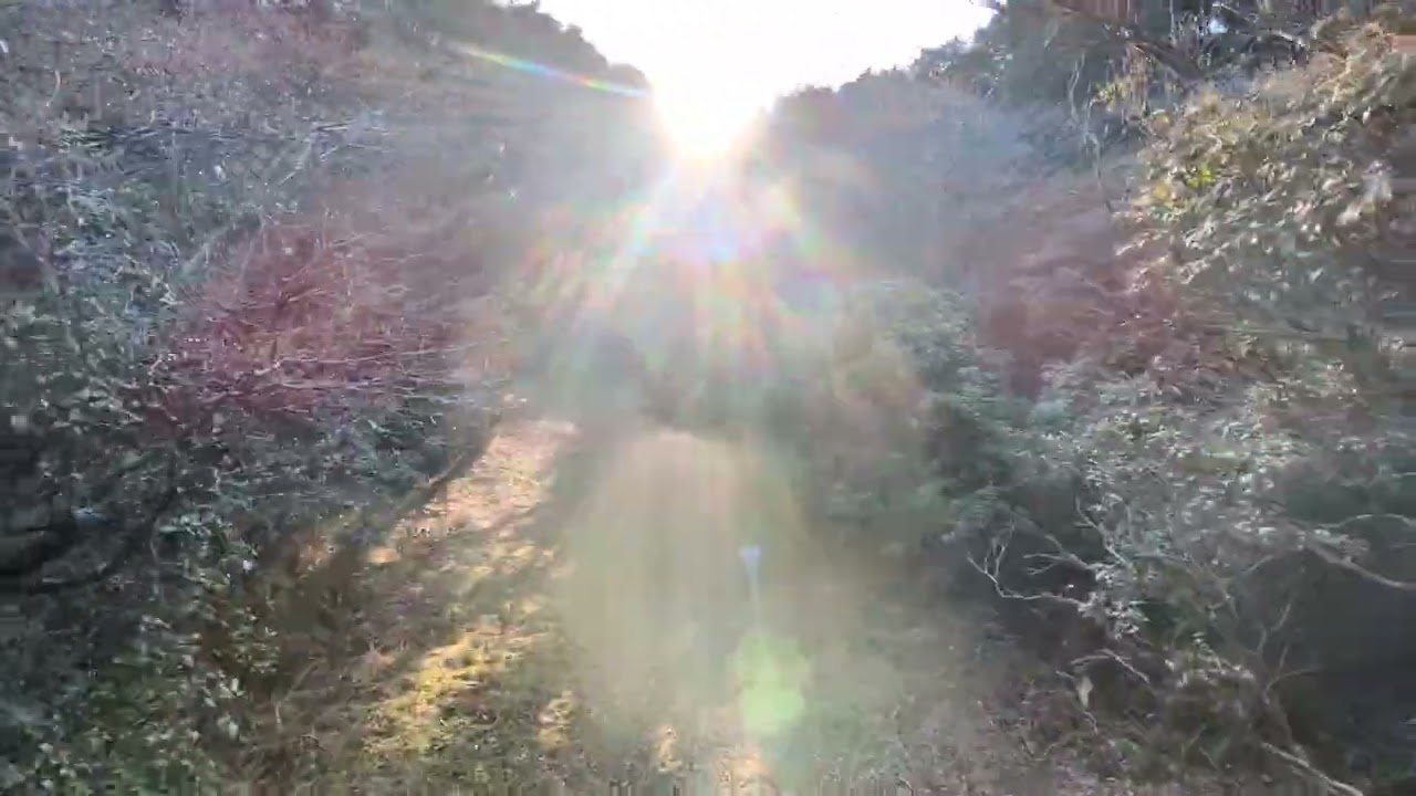 青山高原　5
