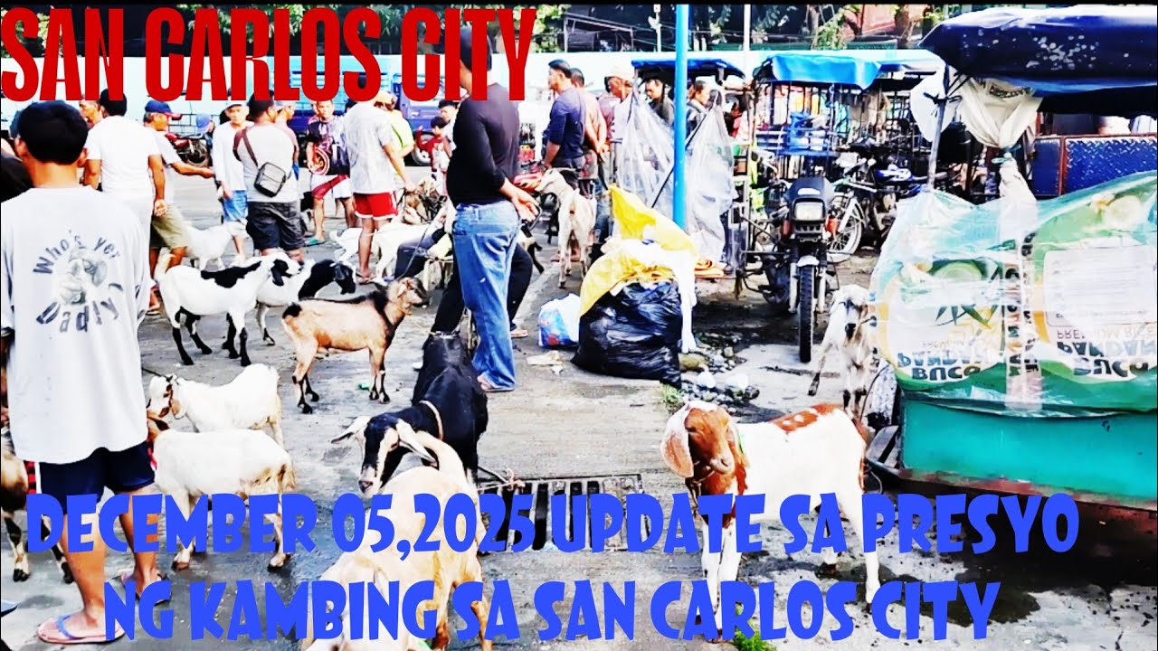 December 05, 2025 Update sa Presyo ng Kambing sa San Carlos City Livestock Market 