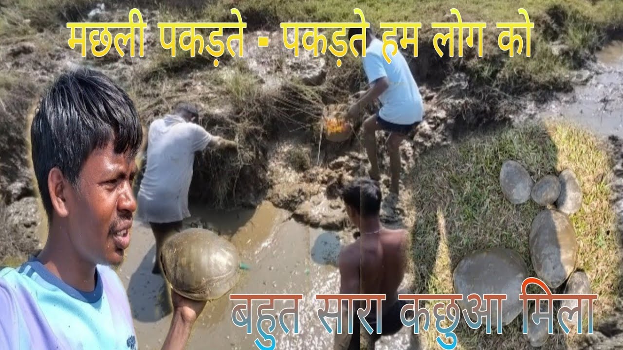 मछली पकड़ते- पकड़ते हम लोग‌ को बहुत सारा कछुआ मिला। New santali blog video ll