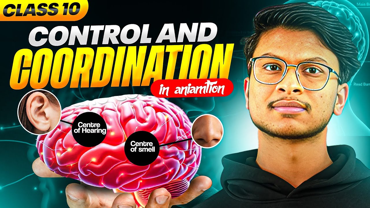 Control & Coordination🔥1 shot animation- Class 10 Science chapter 6🔥