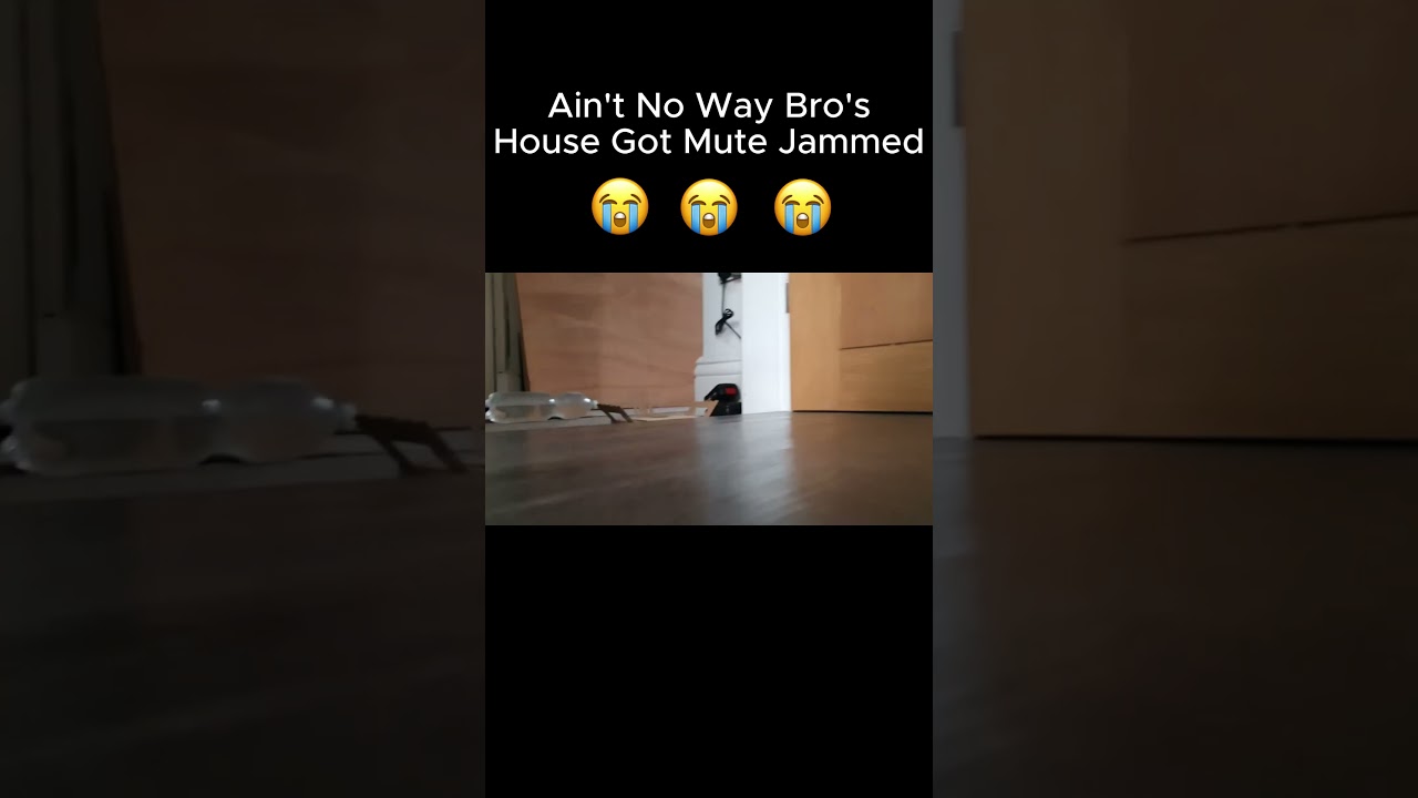 Ain't No Way Bros House Got Mute Jammed😭😭😭 #shorts #r6 #siege #mute #jammer #rainbowsix #art #clips