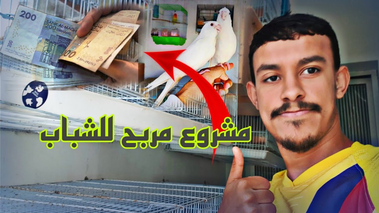 مشروع تربية الطيور |ارباح خيالية 😱😱😱