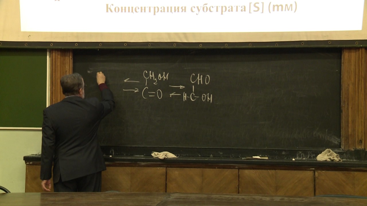 Асеев В. В. - Основы биохимии - 12. Ферменты