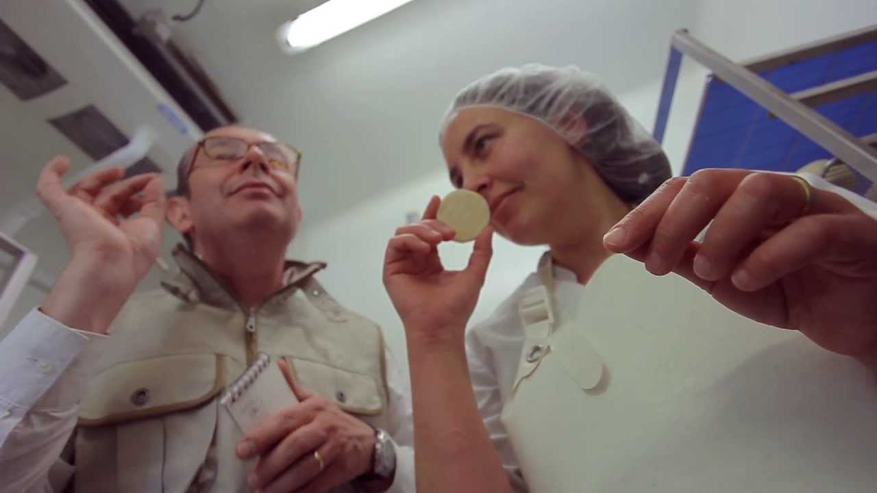 Cabécou du Périgord : le petit fromage au lait de chèvre produit en Périgord